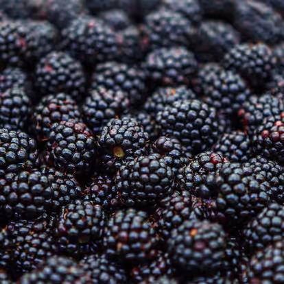 Blackberry